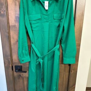 Ann Taylor Emerald Green Shirt Dress